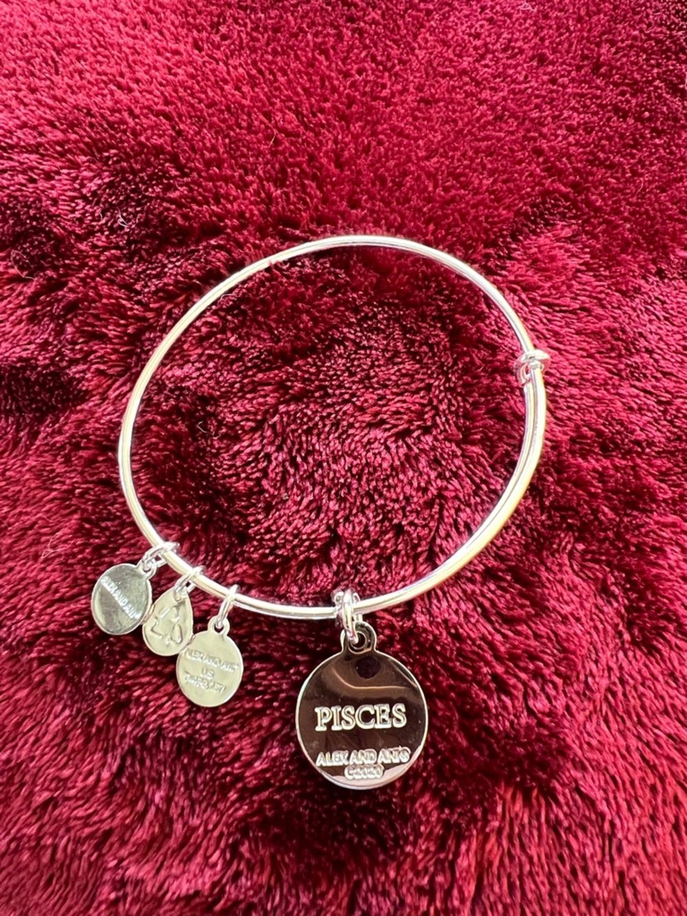 Alex and Ani silver Charm Bangle Bracelet with Constellation Charm - Picture 2 of 3